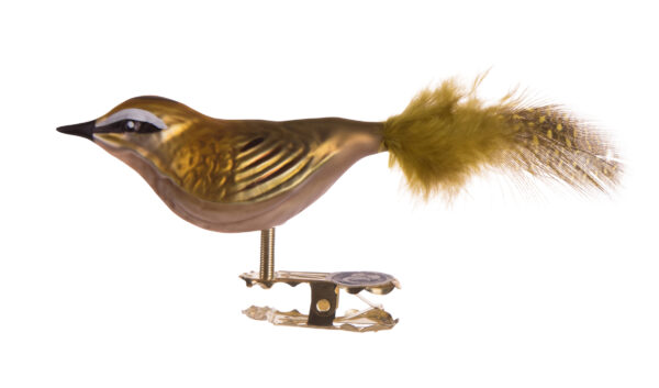 Sommergoldhähnchen