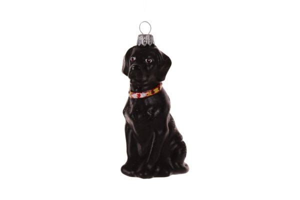 Labrador