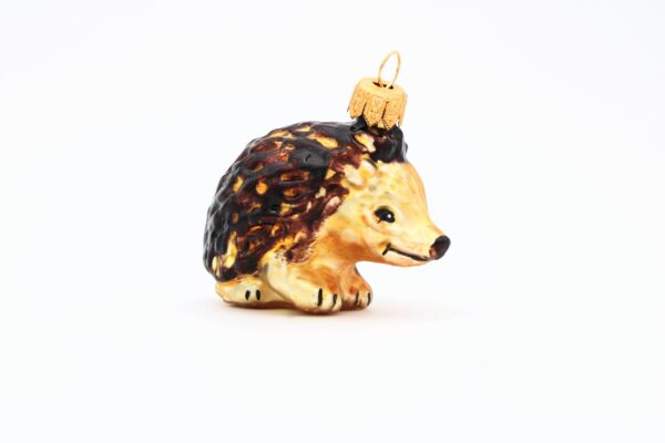 Igel