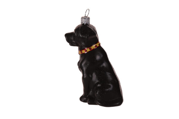 Labrador – Bild 2