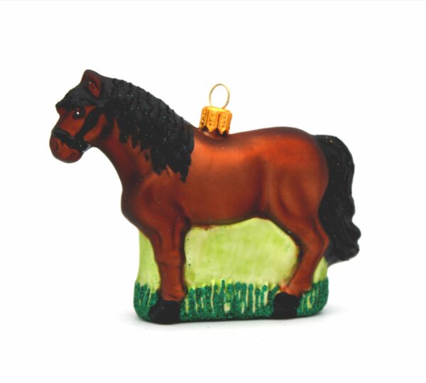 Pferd, braun