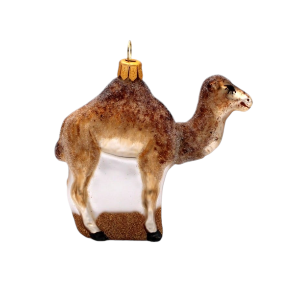 Kamel